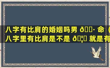 八字有比肩的婚姻吗男 🌷 命（八字里有比肩是不是 🦅 就是有外遇）